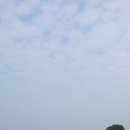 헬리웨이