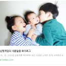 오 마이 캣 이미지