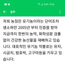 안태진 유기농 유자
