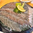 속초오징어어시장 안산고잔점 | 안산 고잔동 횟집 서비스가 좋은 속초오징어어시장 안산고잔점