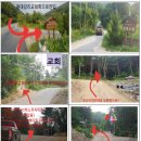 자작나무숲펜션 이미지