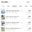 한영솔루션 | 인스타 팔로워 늘리기 초간단 그린인스타 외국인 스타터 직접 사용후기 (5만원대)