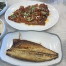 원조두부촌 | 속초 순두부 맛집 후기