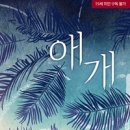 애개애개 이미지