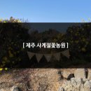 동부꽃농원 이미지