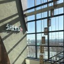 혁신대로 | 대구 혁신도시맛집 소담오리- 진한 오리탕 후기