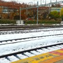 F18 | [💚] 24.11.29 #드림쇼3앙콘 #드삼쇼 #첫콘 그라운드 솔직후기 FLOOR F18 4열시야 공유 고척돔 시야