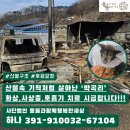 [후원모금] 산불속 기적처럼 살아난 '박곡리' 이미지