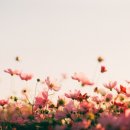 한국지엠서산서비스센터(주) 이미지