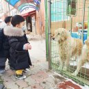 상원어린이집 네이버블로그