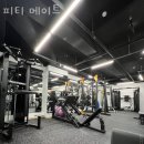 메이트 피티 이미지