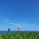 다부초등학교 | #남해다랭이마을