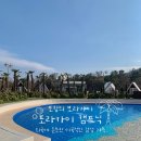 주전가족휴양지캠핑장 | 포항에서 즐기는 해외 휴양지 감성🏝️, 몸만 가는 오션뷰 캠프닉_포라카이 솔직후기