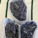 (주)거봉 - 769 | 산지직송거봉 위하브 고당도거봉 택배 솔직후기