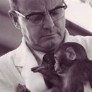 과학실험 이미지