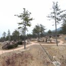 마복산목재문화체험장 이미지