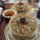장미계 | 성남 칼국수 맛집 장미계 판교 고등동 점심 한식 추천