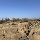 기쁨 어린이공원 | 제주 한라산 용암 지질공원 파호이호이파크 산책 후기