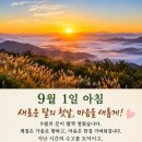 0901(화) 9월의 첫날 이미지