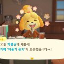 둥지박물관 티스토리