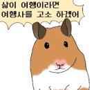 경포마레 이미지