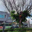 금광면사무소 주차장 이미지