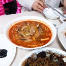 목화반점 이미지