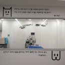 힐링동물의료센터 이미지