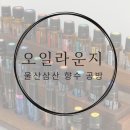 울산 삼산 향수 공방 &#34;오일라운지&#34; 후기