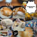 KJ 빌딩 | 충북혁신도시 맛집 <길가옆에누룽지삼계탕> 충북혁신 진천 백숙 맛집 찐 후기