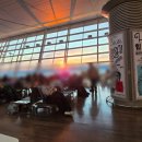 5052 | [중국동방항공 상하이 탑승후기] MU5052 체크인 카운터 좌석 기내식 연착까지!!