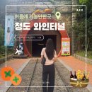 송금리주차장 | 청도 여름 가볼만한곳 청도 와인터널 입장료 카페 주차 다녀온후기