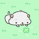 제일큰약국 이미지