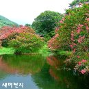 산길 이미지