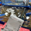 명성수산 | 대전 노은농수산물도매시장 명성수산 대방어 후기