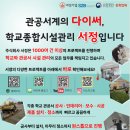 천안신촌초등학교 이미지