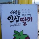 연곡 주유소 이미지