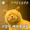 구리동물병원