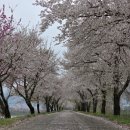 서시천자전거길2 이미지