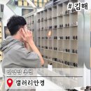 갤러리안경 | 김해 안경점 내외동 갤러리안경 여행용 선글라스 추천