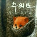 종