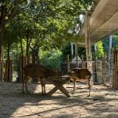 (주)엠플러스건설 | 2026 서울숲 정원박람회 세번 가보고 쓴 추천스팟과 후기