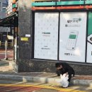 인천운서초등학교 네이버블로그