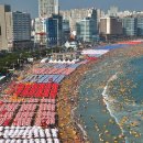 풀꽃향기 이미지