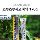 〔일본선스타메디카〕 약용 소금치약(170g) 5개세트 이미지