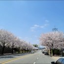 성환반점 이미지