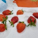 가나떡방앗간 이미지