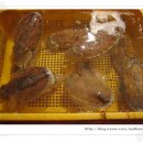 삼천포상회 - 포항시 북구 죽도시장13길 1-8 | 삼천포상회