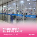 홍예약국 이미지