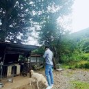 가평 펜션 더설레임펜션 너무 좋았던 후기(바베큐)